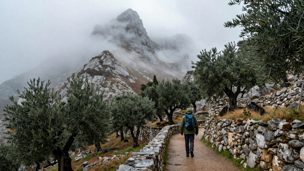 ¿Qué mes llueve más en Mallorca? Guía práctica para planificar tu viaje