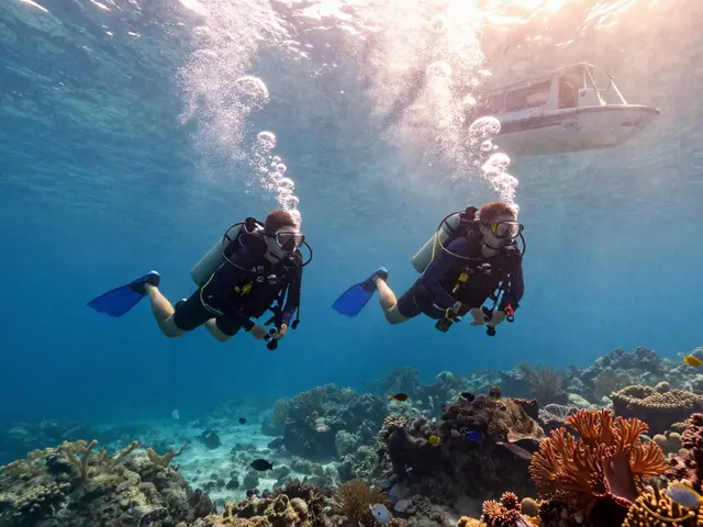 ¿Cuántos buceos se pueden hacer al día en Costa Brava? Guía práctica para buceadores