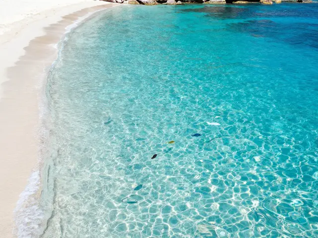 Mejores calas para hacer snorkel en la Costa Brava: Guía Completa