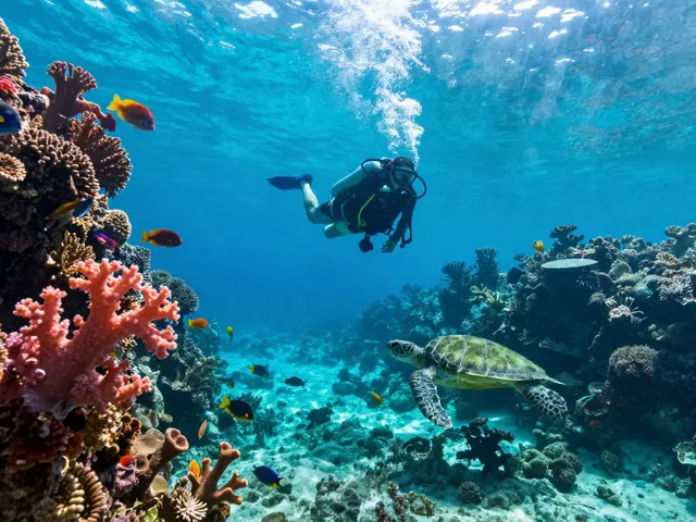 ¿Dónde se hace el mejor buceo del mundo? Los 5 destinos que debes conocer